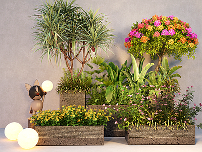 植物组合 绿植花箱植物组合 植物堆 花池花坛