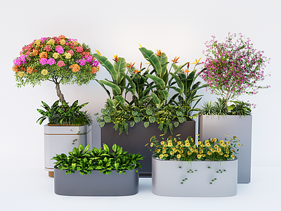 植物组合 现代绿植花箱 移动花箱 盆栽盆景植物组合