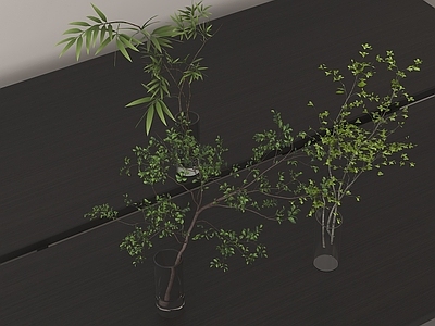 水生植物 水生植物 植物摆件 绿植