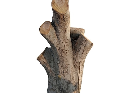 其他景观小品