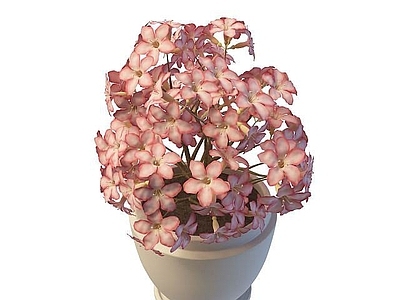 现代佛龛 粉花盆栽
