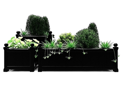 现代佛龛 现代风格植物