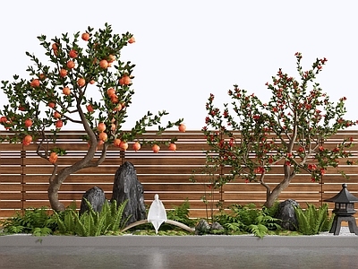 现代庭院小品 庭院小品 石榴树 柿子树 庭院景石 庭院植物