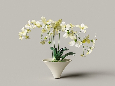 盆栽 现代白色鲜花盆景