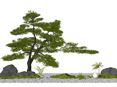 新中式庭院小品 松树 庭院景观 迎客松 庭院小品 景观造景
