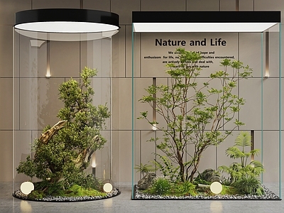 现代室内景观 景观造景 景观树 庭院景观 植物造景 玻璃植物造景