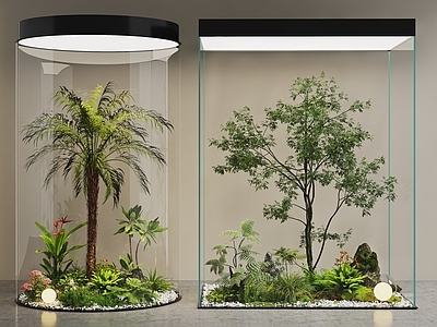 现代室内景观 景观造景 植物堆 玻璃绿植造景 景观树 庭院景观