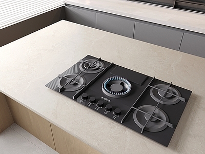 灶台 灶台 燃气灶 五头 厨房电器用品