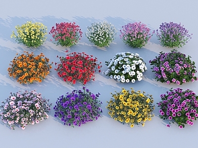 花 现代植物花草组合