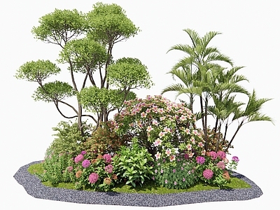 灌木 花境 花草组团 山茶花 杜鹃花 植物堆
