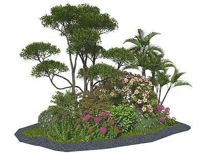 植物组合 花境 灌木 花草组合 山茶花 杜鹃花