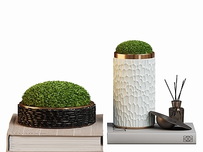 苔藓 现代饰品苔藓摆件 盆栽植物绿植 书