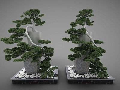 现代风格植物