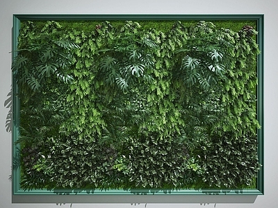 现代植物墙