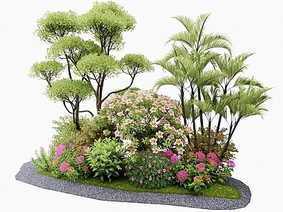 灌木 花境 花草组合 植物堆 植物造景 植物组合