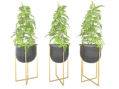 现代风格植物