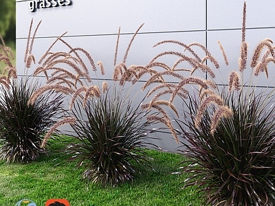 草