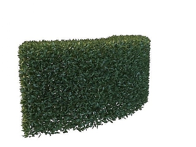 现代绿化植物
