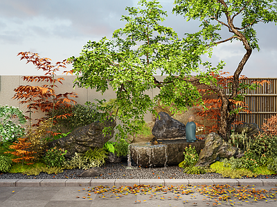 植物组合 日式庭院景观 枯山水 水钵水景 石头 景观树 苔藓 植物景观