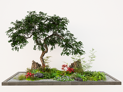 植物组合 庭院微地形 植物景观造景 苔藓 庭院小品 景观石头 蕨类植物