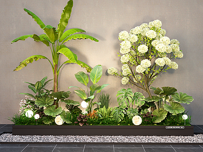 植物组合 现代室内植物组合 植物堆 花镜 中华木绣球 植物景观造景 灌木 花草