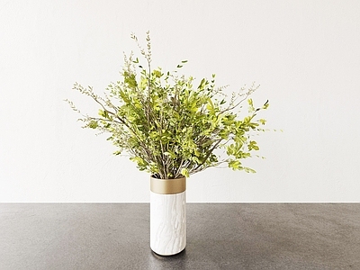 现代花盆 花瓶 花盆 植物