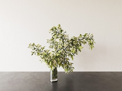 现代花盆 花瓶 花盆 花卉