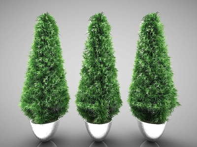 现代植物