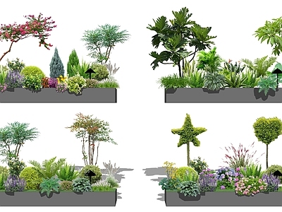 植物组合 2D花镜植物 盆栽组合 树池植物组合