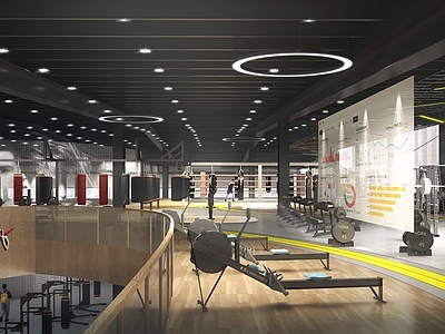 现代健身房 搏击训练馆 健身