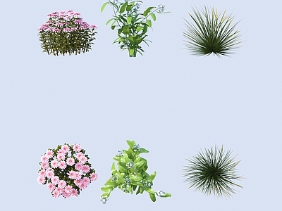 花草组合 花 野花 绿植