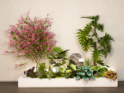 植物组合 植物造景 绿植花 植物组合 花箱 植物堆 花池花坛 花境 花草