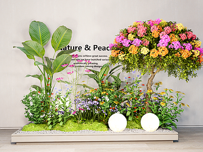 植物组合 植物组合 花箱盆景 花箱 多色三角梅 绿植花草组团