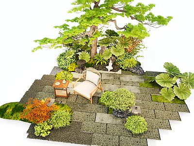植物组合 新中式庭院汀步 松树 植物组合 户外座椅 景观造型小品