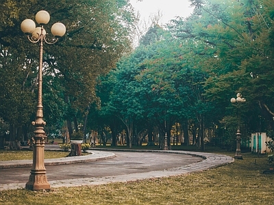 现代复古街道外景 阴天公园街道外景 秋季园林风景 树林小路绿荫道 复古别墅一楼外景 阳台露台窗景