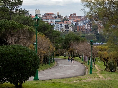 现代街道外景 阴天公园绿化街道 花园小路傍晚黄昏 别墅一楼园林外景 树林草地庭院风景 城市小区林荫路