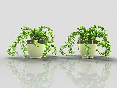 现代佛龛 现代风格植物花盆