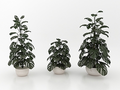 现代佛龛 现代风格花盆