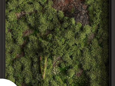 植物堆 植物墙
