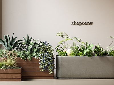 花箱 花坛 户外花箱 植物堆 绿植花箱 植物造景
