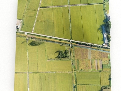 现代其他公共空间 农田 田野