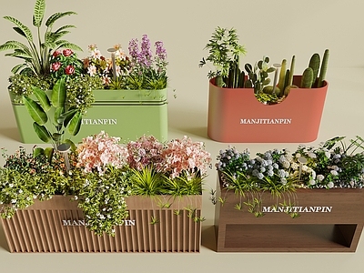 花箱 花草 花池 外摆花箱 植物堆 仙人掌