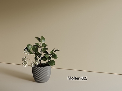 现代花瓶 现代花瓶 盆栽