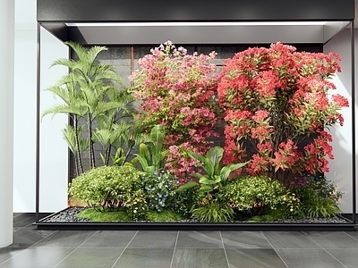 现代室内景观 植物堆 灌木 花草 植物景观 三角梅