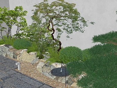 植物组合 树池植物组合 庭院植物造景