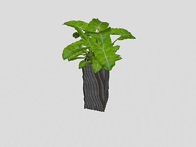 现代花艺 陶瓷花瓶