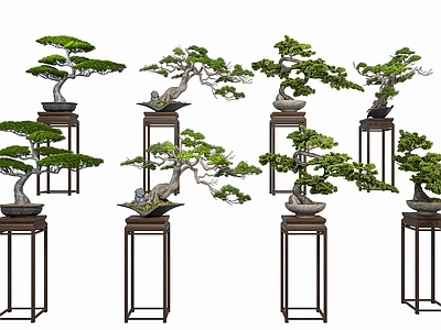 盆景 新中式盆景松树 盆栽罗汉松组合 盆景罗汉松 盆栽绿植盆景 室内盆栽松树摆件