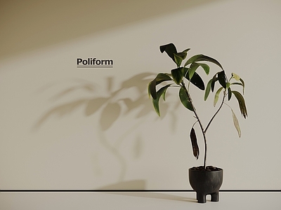 盆栽 现代绿植盆栽