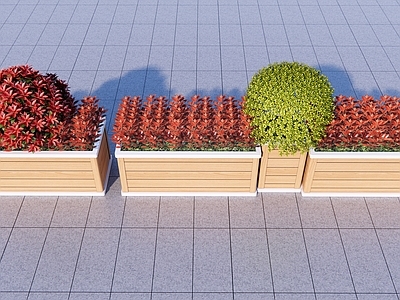 盆栽 红叶石楠花箱组合 市政花箱绿植组合 花箱红叶石楠 花箱金叶女贞球 外摆花箱组合