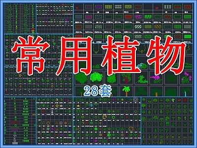 现代植物配置图库 常用园林景观植物 平面植物乔木灌木 立面植物 常用乔木 施工图